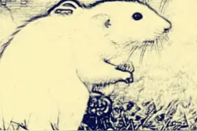 民间故事：屠夫可怜要饭女刚想开门，瞎眼娘大喊：别开那是鬼敲门图片