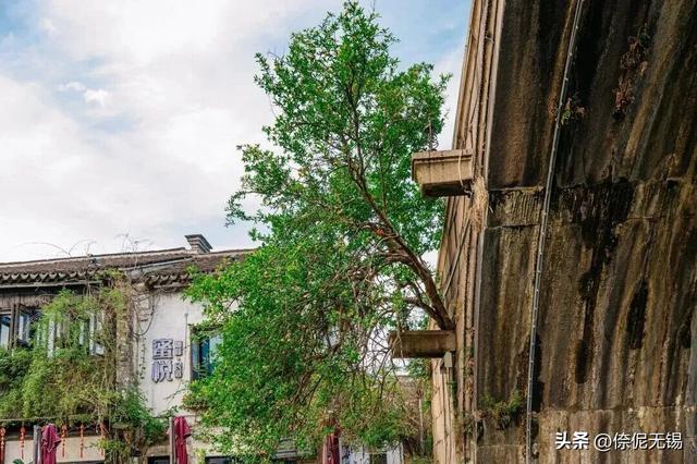 阳光正好！一起来梁溪散步吧～