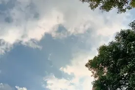 不会再有新政策了，只是呼吁地方主动依规解决原民办代课教师问题图片