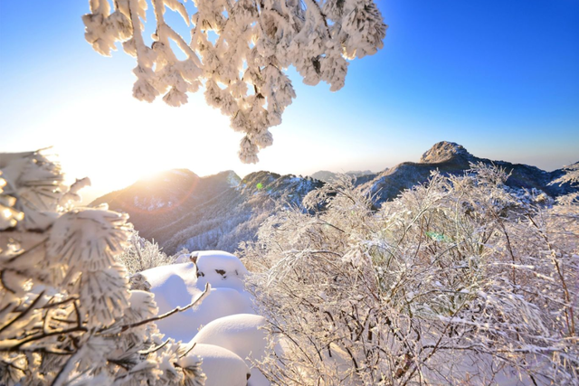 董宇辉向世界推荐，“请花几天时间去山东”！