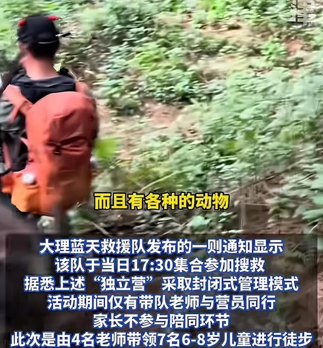 自闭儿走丢最新：三次搜山无果，救援队传来噩耗，夏令营黑幕曝光