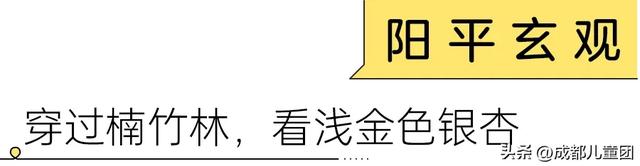 成都适合秋天的5条徒步线！随时出发