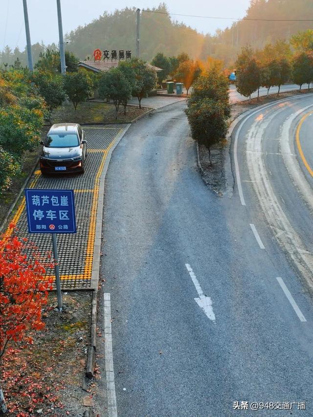秋色限定！自驾郧阳230省道，闯入十堰的“红叶天堂”