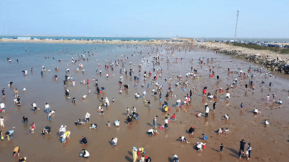 潍坊滨海区：长假点燃出游热情，文旅市场持续火热