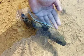 如何自制增氧机？DIY很简单只需3个配件，钓鱼人快收藏图片