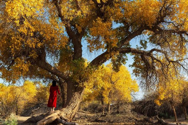 中国十大世界级绝世美景，你去过几个？全部去过的算你厉害！
