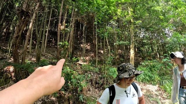 重庆大学城深山发现一排蛮子洞，内部有古人留下的文字和生活痕迹