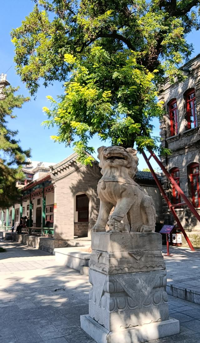 北京没想到，天津也没想到，如今河北保定，成了周边遛弯的好去处