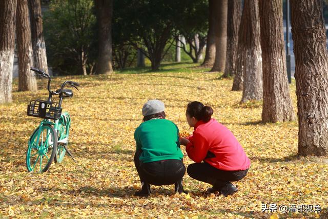 无锡吴都路，金色的世界