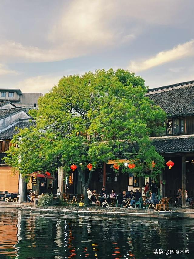 朋友推荐“零差评”，去三次都不会腻的江南古镇