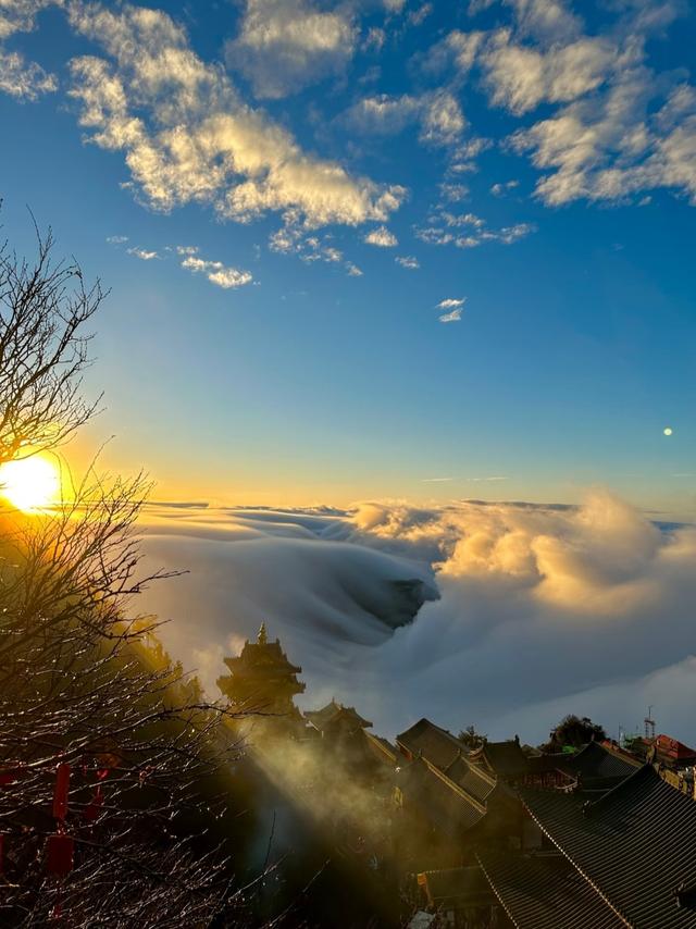 一个刚从洛阳回来的人警告：别轻易去，这座城会搞乱你的时间感