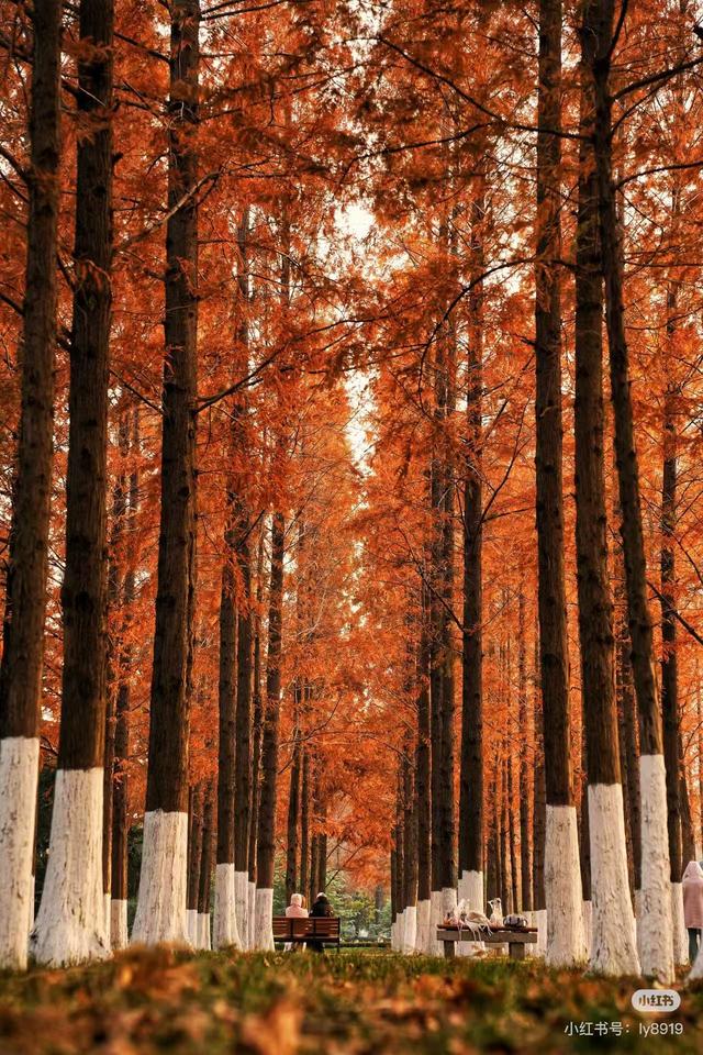 原来真的有城市，可以一天24小时都快乐~（2）