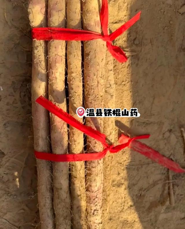 去了趟河南焦作，真心建议：不要随便去焦作，除非你知道这些门道