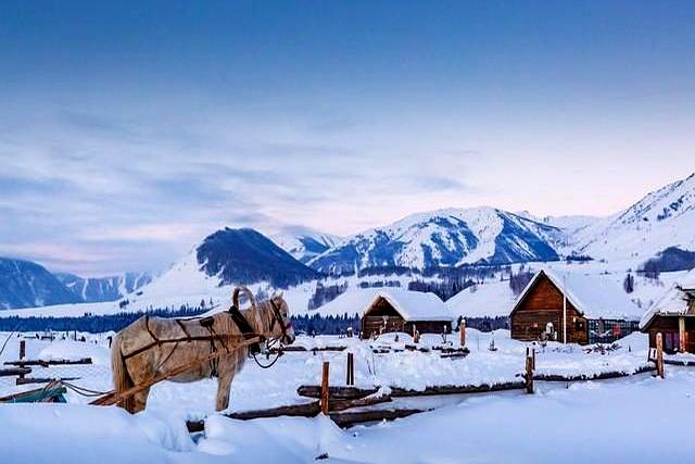 人到中年	，一个女人开始频繁运动	、健身，往往说明一个问题