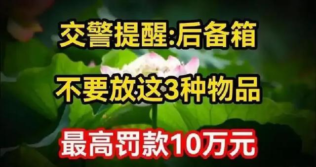 2026新交规实锤！后备箱这3样东西绝对禁放	，最高罚10万+扣分