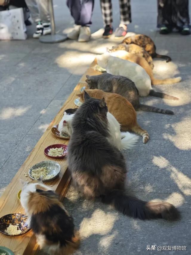 观复博物馆在酝酿一件大事