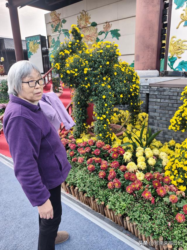 讲述我的写作故事43，《2025年开封赏菊记》。