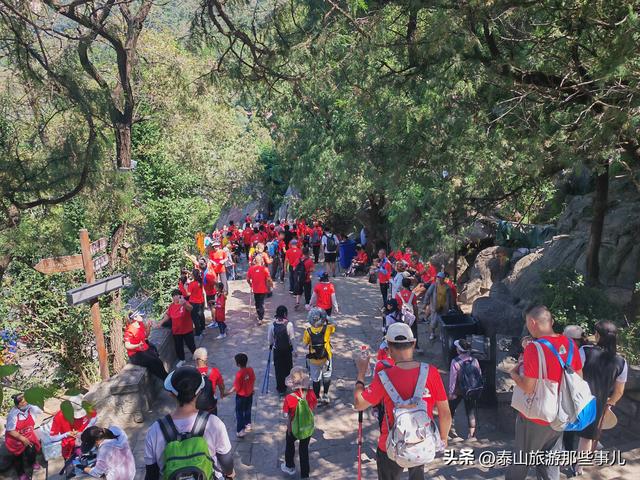 泰山多高？要爬几个小时？推荐这5个登山方式，其中它性价比最高