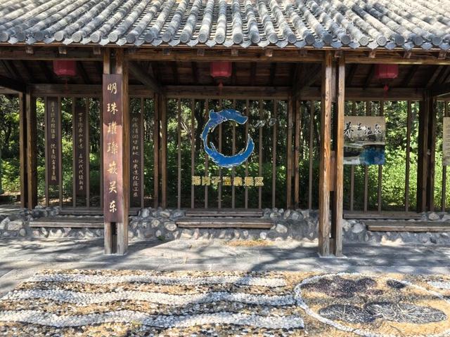 赶紧去打卡！汤泉夏日好风光