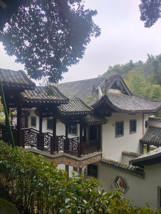 湘粤赣之旅（九）：长沙橘子洲·爱晚亭记