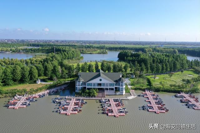 2025年海安云上森林超大规模网红粉黛花海+花海鹿群