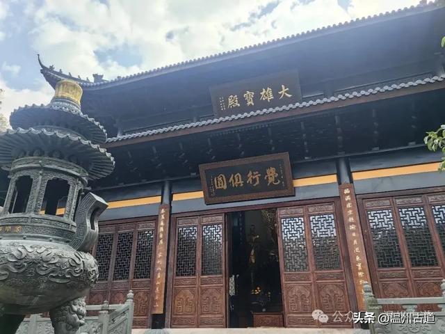 一树金黄，满城风雅！温州这棵著名的古寺银杏再不去就要落叶了