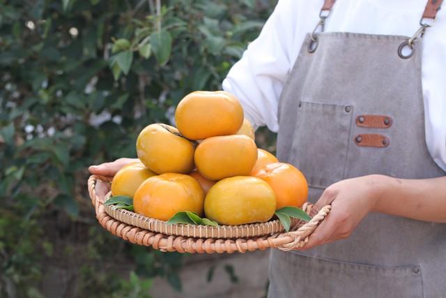 霜降罗田，邂逅中国最美红叶！大别山秋日摄影全攻略