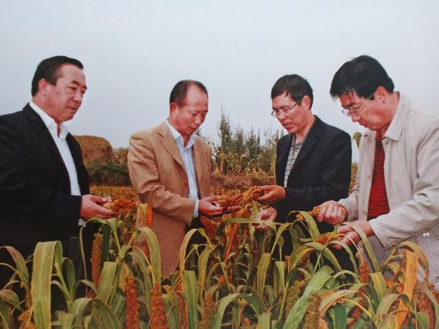新中国成立以来甘肃涌现出的三十大模范人物，致敬！