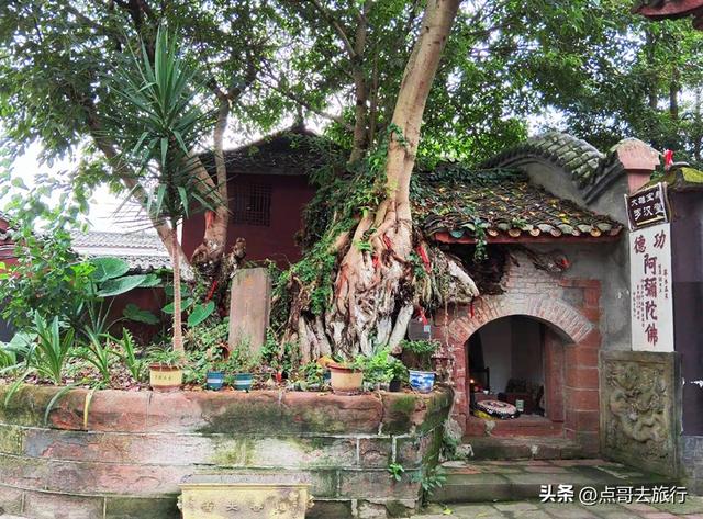 成都最神奇寺庙，寺内藏有县衙，这应该是全国唯一，地铁公交可达