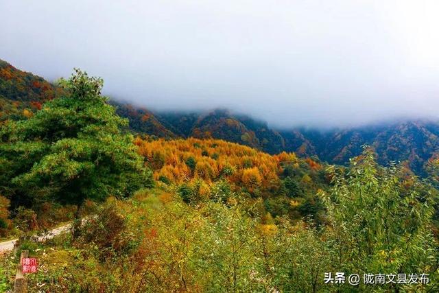 醉美文县：秋色斑斓大岭梁