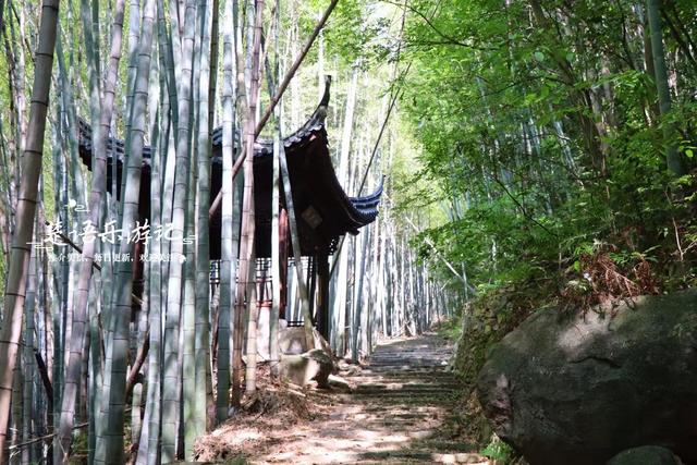 浙江宁波的竹林双古道，被誉为治愈系徒步胜地，景色宜人值得游玩
