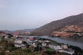 温暖的橄榄坪图片