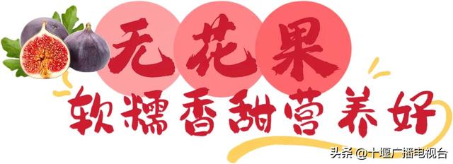 速看！郧阳夏日采摘指南出炉