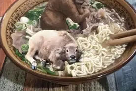 吃野生菌中毒的搞笑场面！网友亲自讲述，太不可思议了！图片