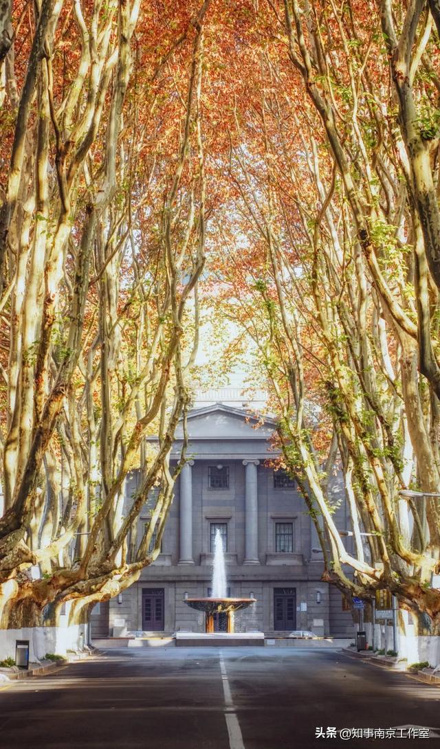 51张照片告诉你，南京的秋天有多美！