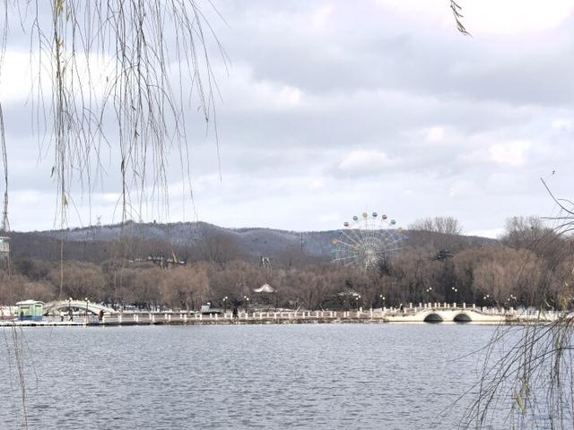 雪后二一九公园藏着治愈系美景