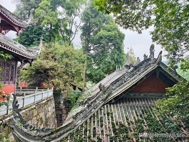 成都徒步（69）·彭州篇⑯法藏寺环线（桥断未走通）