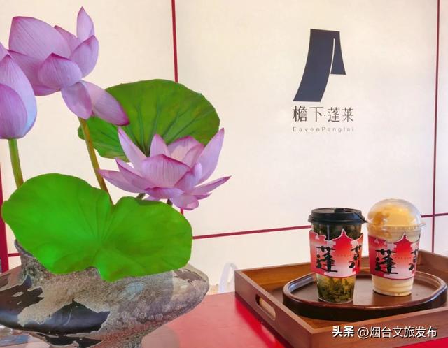【乐游烟台】到“檐下生活”，偷得山海半日闲