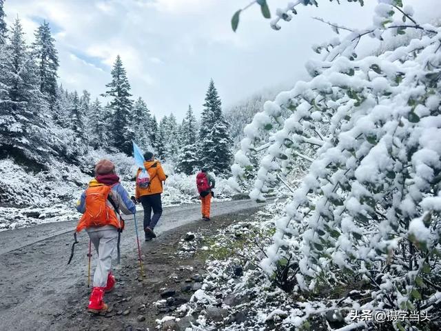 甲依拉措 ：一场白雪与彩林的盛宴