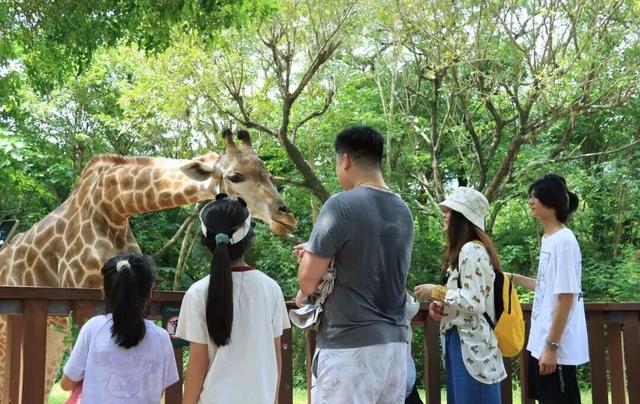 广东官宣：300家景区，免费！深圳的有……