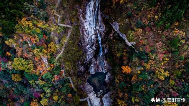 秋色正斑斓！信阳赏秋打卡地推荐