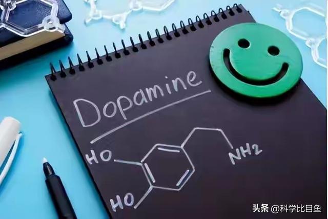 高速堵，景区挤，国庆出行如此“添堵”，我们为何还要热衷往外跑