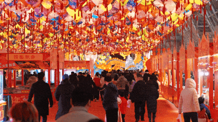 欢乐“闹”元宵！西海岸元宵佳节活动上线！🤩