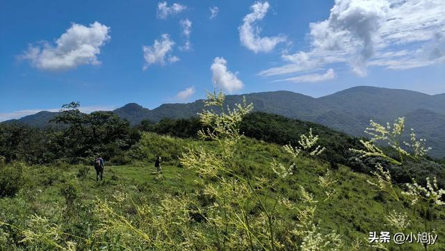 两次本溪南岭徒步记｜高山草甸，湖池松林，我被南岭种草
