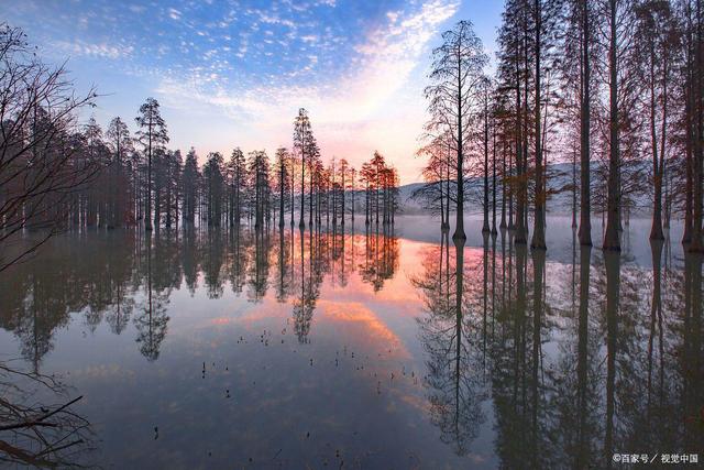 说起红叶就知道栖霞山和天平山？江南赏秋花样不要太多