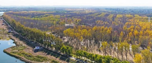 在顺义这些宝藏公园邂逅斑斓秋景——