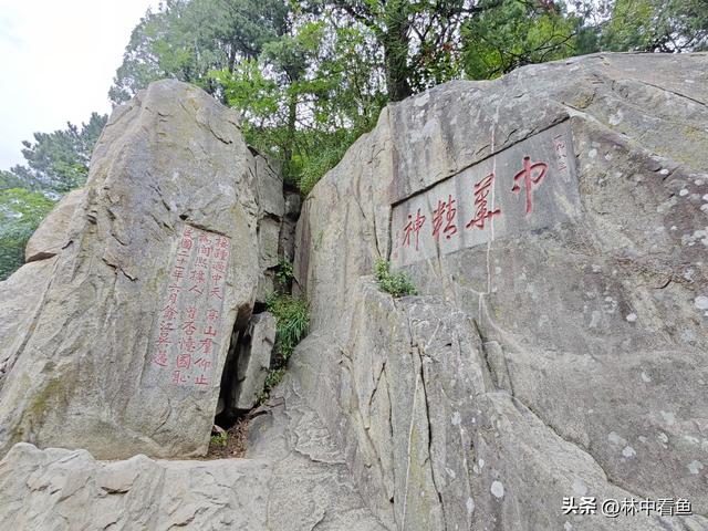 徒步登泰山之一——3小时从一天门到中天门