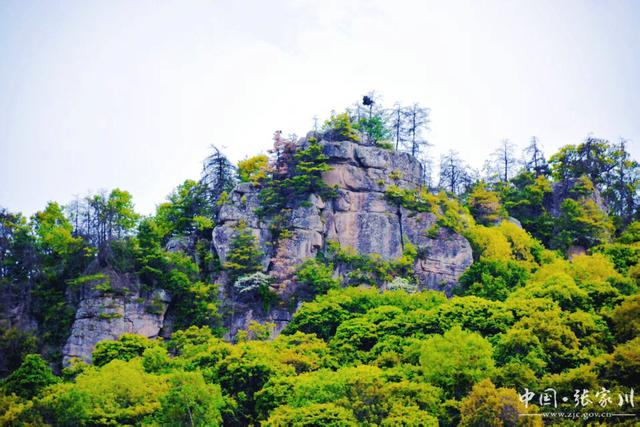 【摄影报道】张家川县：游丝路大关山 品诗意花园