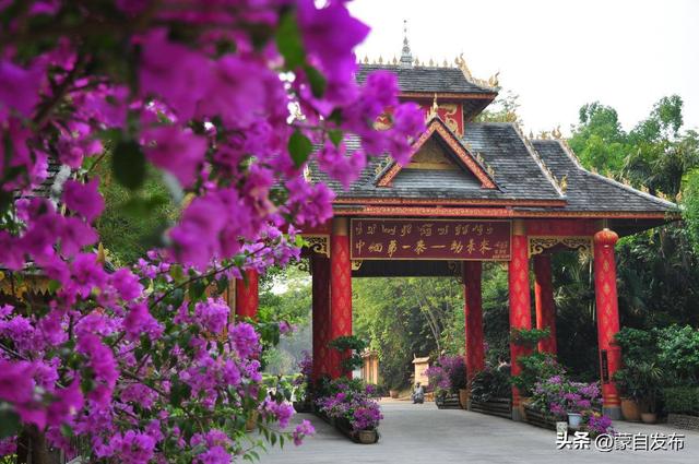 旅居云南大家拍丨共绘西双版纳魅力长卷