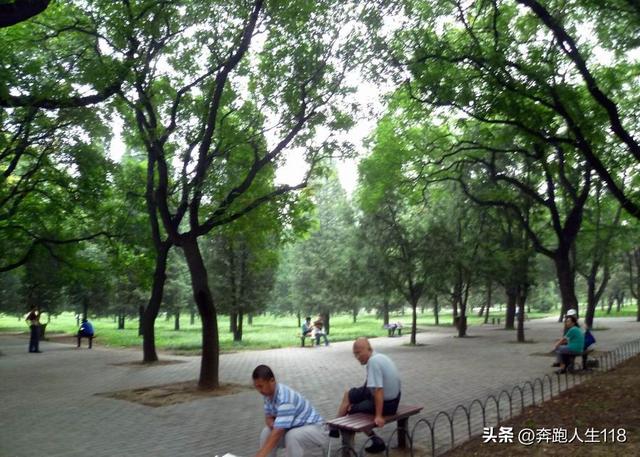古木参天、绿草如茵，天坛景色秀